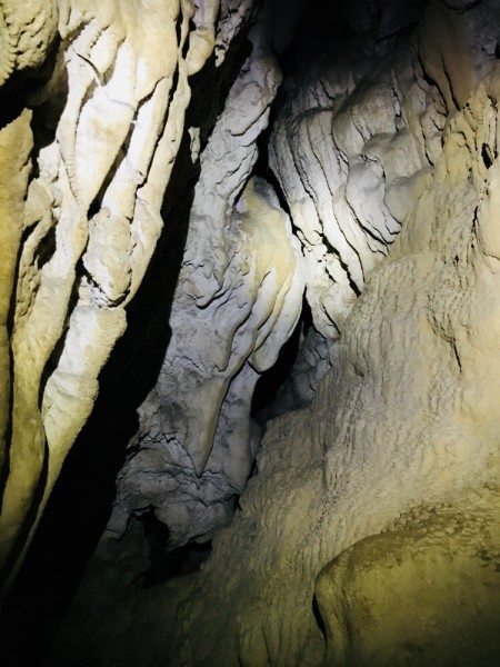 柴山秘境探洞冒險241749