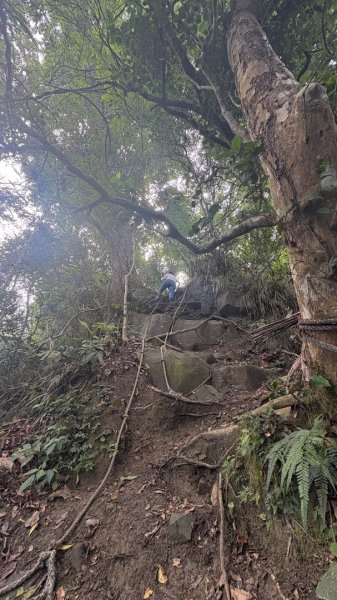 三腳南山2799561