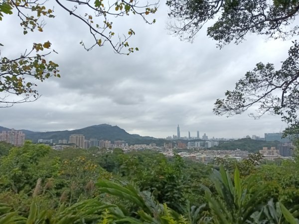 汐止區小南港山(橫科山)+白匏湖+白匏湖山+白雲古道2970625