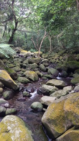 2018.09 青山瀑布步道O形404024