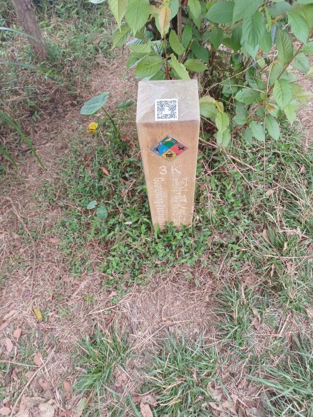 【台南白河】雞籠山+九龍山+大凍山O繞縱走2797160