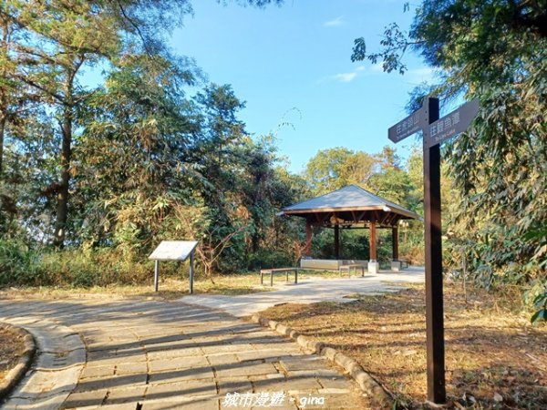 【南投埔里】天旨宮鰲頭山步道x虎頭山鯉魚潭步道x虎頭山觀景平台連走2988503