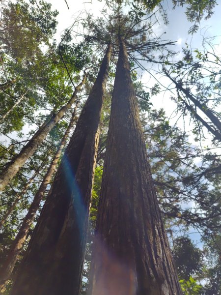 守關山南峰 守關山 守城大山2919118