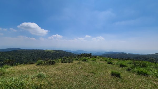 陽明山國家公園-風櫃嘴、石梯嶺、擎天崗1484099