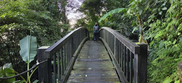 2025/11/22_五指山橫向登山步道+仙洞步道 O型2944187