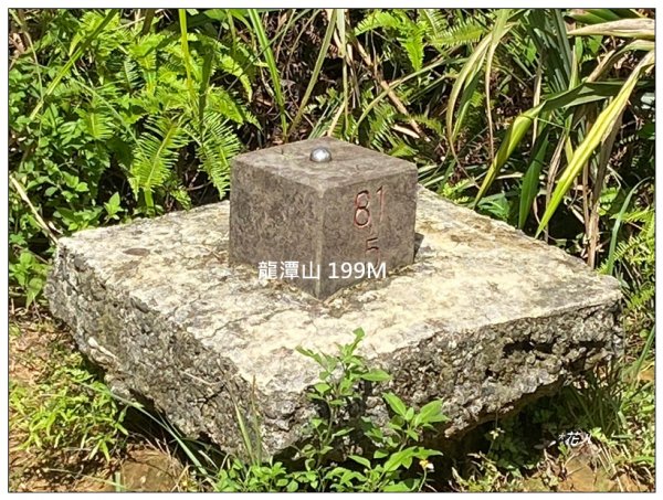 瑞芳四秀 連走一圈2616376