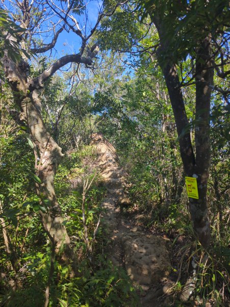 2025.10.10－微笑山線：【二格山系】皇帝殿稜線2919521