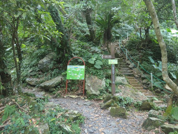 2025.08.09－新寮瀑布2856188