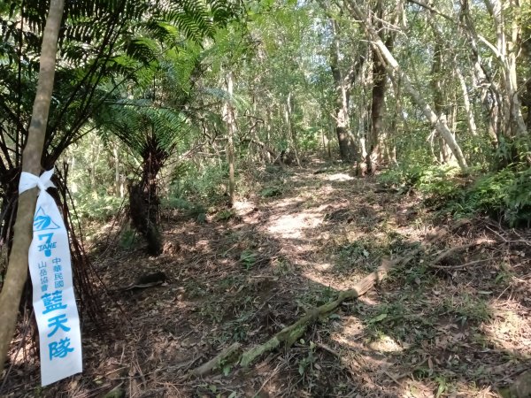 坪林區楣子寮尖+土地公遺址+火燒寮古道+枋山坑古道+枋山坑崙O型2985602