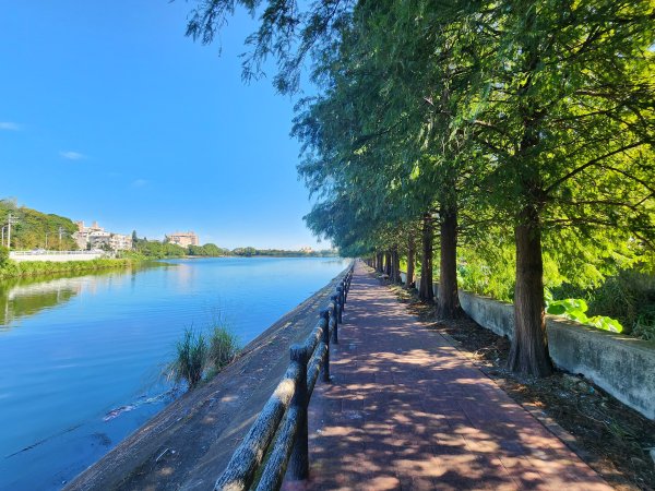 20241019 Ubike 湖口 ~ 大溪2671650