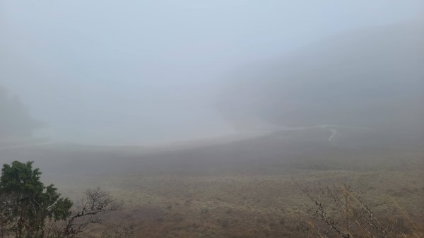 2025-0222 翠峰湖環山步道2718626