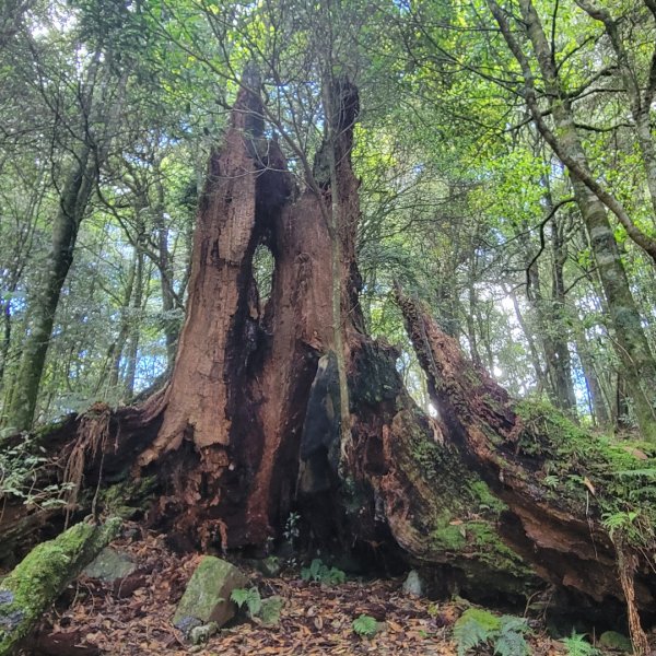 稍來山（小百岳）2543569