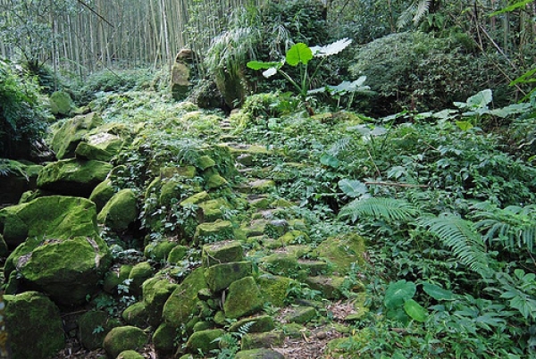 【嘉義】山峰環列守平安—四大天王山步道