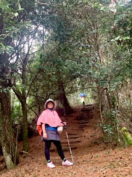 觀霧瀑布 賞鳥步道2926521