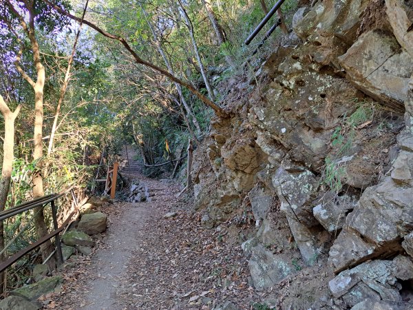 象鼻古道(千兩山南峰+主峰+北峰)O型走1949117