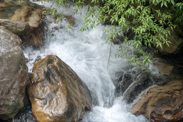 九寮溪步道與梅花湖2927080