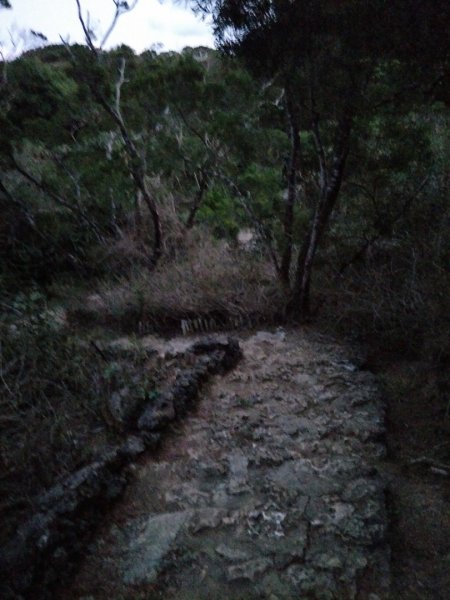 社頂生態保護區1343666