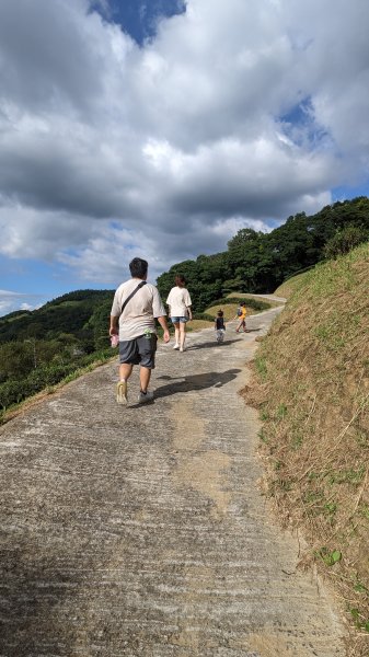 三峽熊空茶園2551166