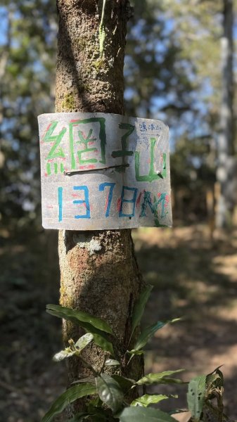 20260213 小百岳鳴海山3002941