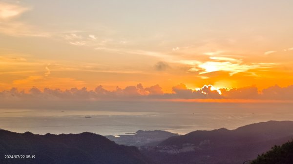 雲山水花鳥蝶 - 天龍國阿伯的日常7/18 & 21、22、292556659