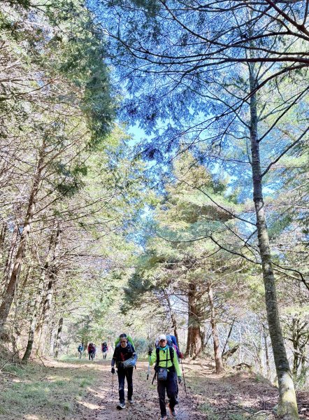 230林道糜爛去    2025.2.28-3.12733787