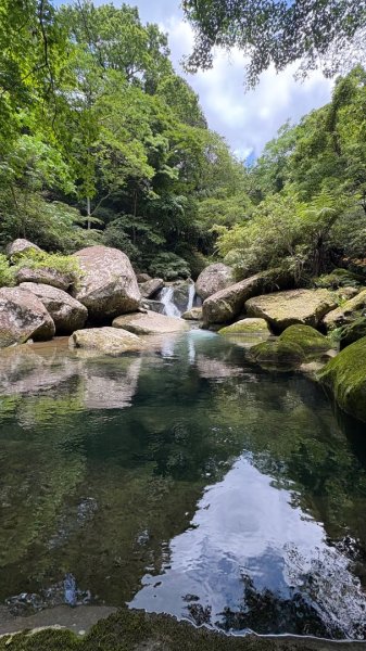 戲水（鴛鴦2786725