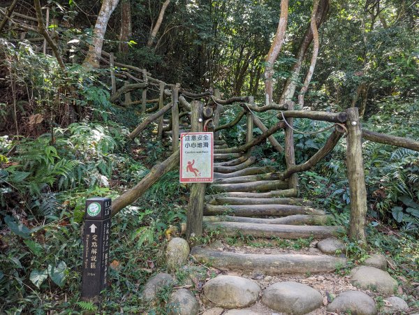 漂亮的五葉松及很有特色的圓木棧道：大坑5-1及5號步道＆頭嵙山（小百岳#41）1879150