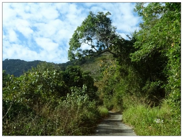 網子山、鳴海山(小百岳)連走2405748