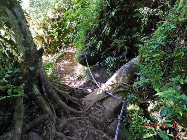 臺東 東河 都蘭山1262042