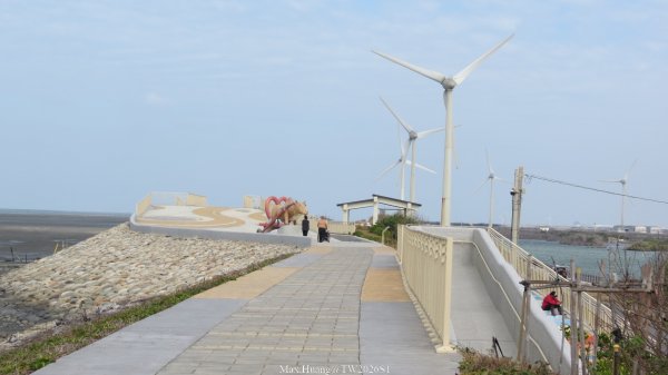 《彰化》海空夕照｜王功燈塔及芳苑海空步道健行賞冬候鳥202601102980281