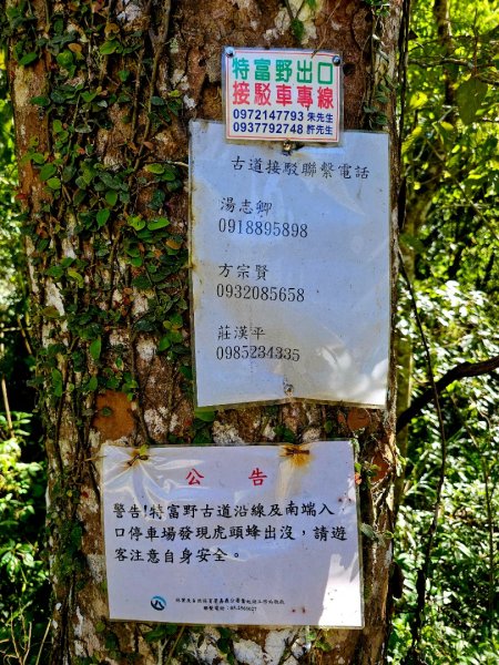 特富野古道-2024嘉遊好步道．來嘉走走2674375