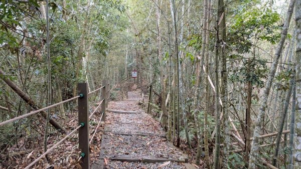 後尖山步道3008300