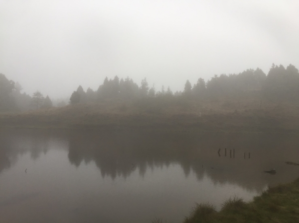 霧朦加羅湖264794