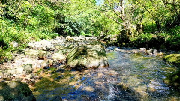 中坑古道東山西山2896467