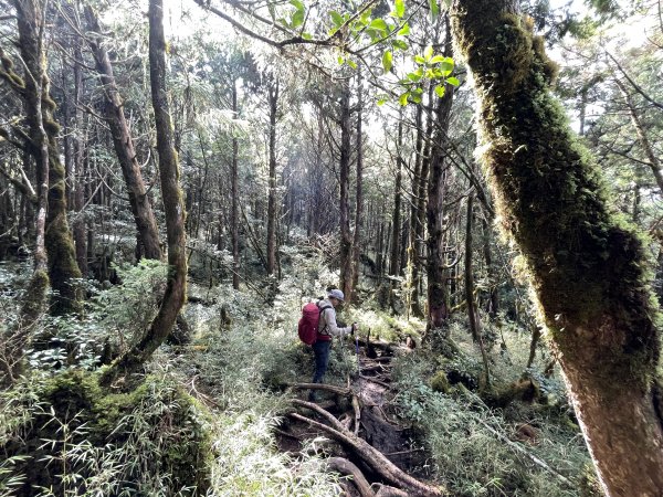 魔幻森林三星山與三星池1658343