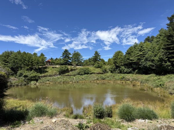 84稍來小雪山步道及天池神木11508183110066