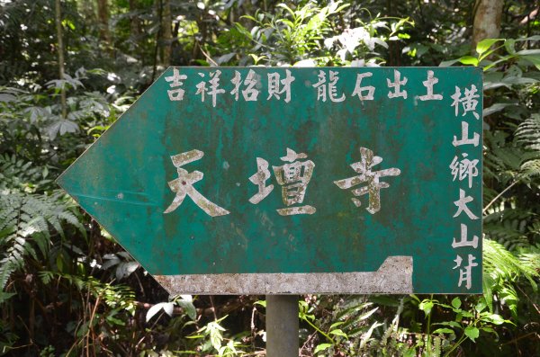 大山背山 - 大崎棟步道1065108