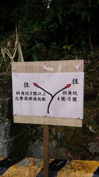 璀璨百年淡蘭古道～崩山坑古道、溪尾寮山、保城坑古道、虎豹潭步道O走1313433