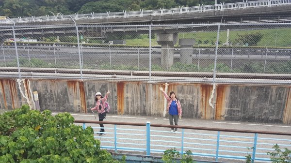 春光爛漫的淡水河左岸856031