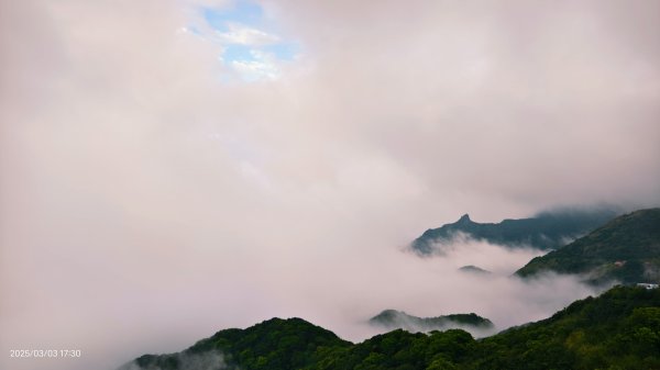 #樹梅坪 #琉璃光 出景首拍 3/32726278