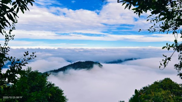 #馬那邦山 #琉璃光 #日出 #雲海 #山羌 #楓葉 10/25 & 11/12924616