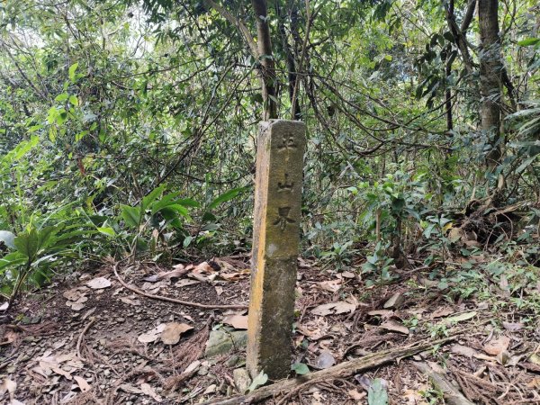 向天湖山11501252988130