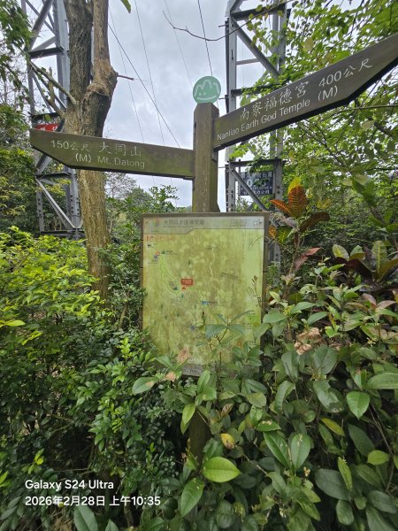 2026-02-28微笑山線：【大棟山系】405高地段3008691