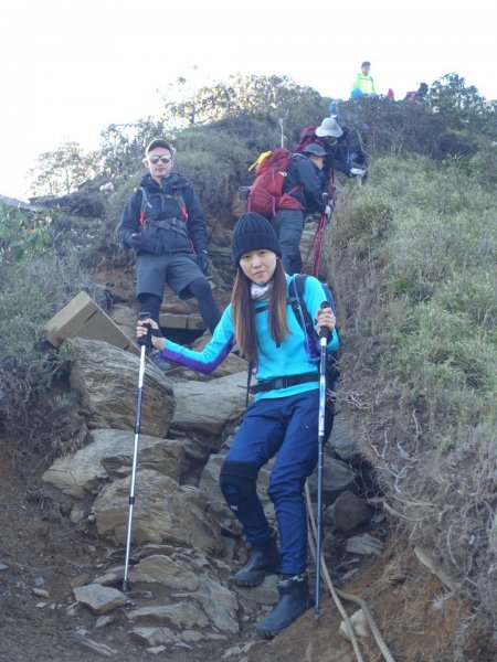 合歡山五座百岳賞杜鵑花587107