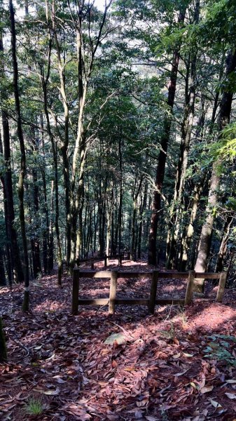 桃山、喀拉業2816811