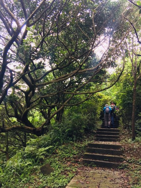 淡蘭北路楊廷理玩泥巴（瑞芳-雙溪）587213