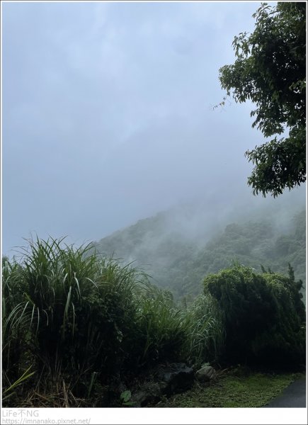 天母雨天健行1721589