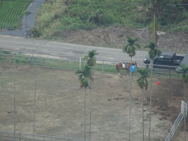 台灣小百岳第72座高雄旗山旗尾山之三角點551180