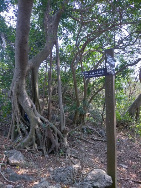 北柴山秘境之旅2754382