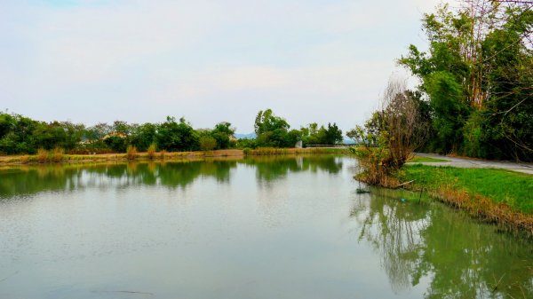 田寮月世界2954569